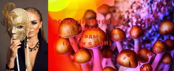 крисы Ладушкин