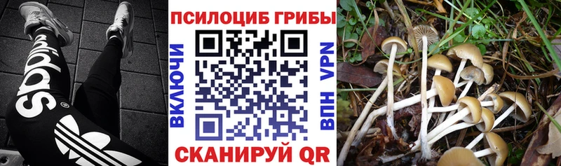 hydra ссылка  наркошоп  Камышин  Псилоцибиновые грибы GOLDEN TEACHER 
