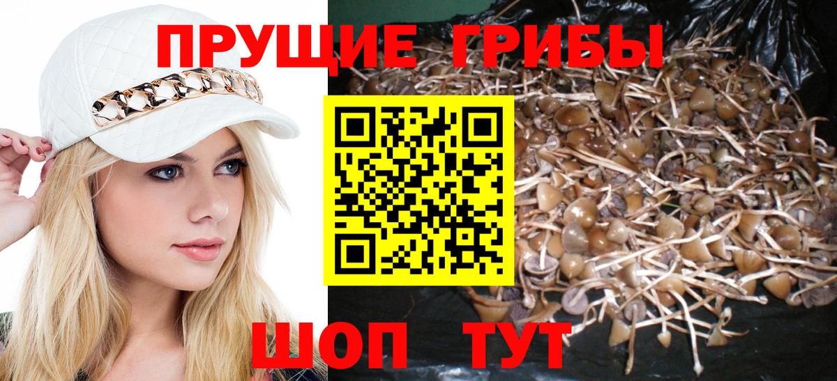 Псилоцибиновые грибы GOLDEN TEACHER Камышин