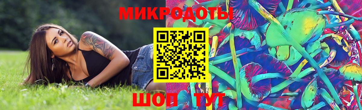 Галлюциногенные грибы мухоморы  Вход с VPN  Камышин 